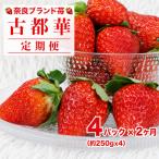 いちご 古都華 250g×4パック