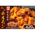 漬け赤ホルモン620g コリコリミックス 210g×2P