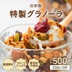 無添加 自家製 フルーツグラノーラ 250g×2袋