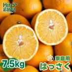 せとか 7.5kg+250g 痛み補償分