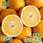 せとか 2.5kg+250g 痛み補償分