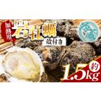 ふるさと納税 牡蠣 加熱用 先行予約 岩牡蠣 1.5kg eb-0033 高知県香南市