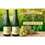 ナイヤガラ スパークリング フルボトル 750ml×2本