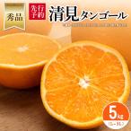 清見タンゴール 5kg