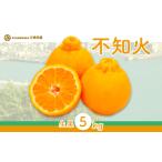 不知火 生果5kg ※離島への配送不可 2027年2月上旬~2月下旬頃