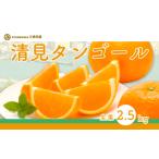 清見タンゴール 生果2.5kg ※離島への配送不可