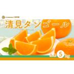 ふるさと納税 【先行予約】清見タンゴール（生果5kg）※離島への配送不可（2026年3月上旬より順次発送予定） IKTBD015 愛媛県伊方町