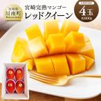 産完熟マンゴー レッドクイーン M×4玉