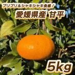 ショッピング甘平 ふるさと納税 【先行予約】プリプリ＆シャキシャキ食感！甘平 5kg 【2月中旬〜3月中旬発送】 柑橘 果物 フルーツ みかん 甘平 松山市 愛媛県 【T.. 愛媛県松山市