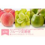 ふるさと納税 【先行予約】フルーツ定期便 全3回 白桃 シャインマスカット ラ・フランス 秀品 2026年産 令和8年産 ※沖縄・離島への配送不可 sb-.. 山形県村山市