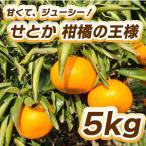 約5kg