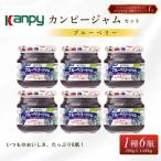 ブルーベリージャム カンピー 280g6本