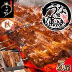 秋 すみの坊 鰻の蒲焼5尾入 ハーフカット10枚