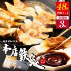 本店鉄なべ 冷凍ぎょうざ48個入り