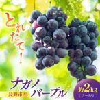 ナガノパープル2kg 3-5房