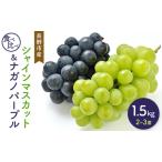 ふるさと納税 2026年産シャインマスカット&ナガノパープル 1.5kg 2-3房 食べ比べ 長野市産 フルーツ 果物 ぶどう ※配送不可:沖縄、離島 長野県長野市