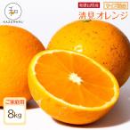森本農園の手選別 小粒清見オレンジ 約8kg