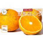 ふるさと納税 オレンジ 清見オレンジ 約10kg サイズ混合［RN49］ 和歌山県那智勝浦町