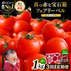 定期便 フルーツミディトマト 約1kg