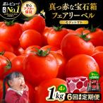 定期便 フルーツミディトマト 約1kg