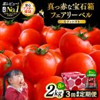 定期便 フルーツミディトマト 約2kg