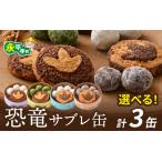 恐竜サブレ缶 小 クッキー缶3個 おもちゃ