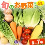 野菜セット 6~7品目 以上