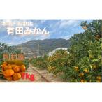 則村園産 有田みかん 7kg
