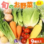 野菜セット 9品目 以上