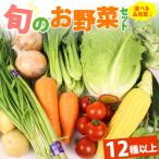 野菜セット 12品目 以上