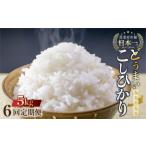 ふるさと納税 【定期便】こしひかり 5kg×6回 定期便 お米 おこめ 米 コメ ごはん コシヒカリ ご飯 ブランド米 精米 令和7年 定期 6か月 令.. 愛知県田原市