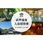 武甲温泉 入浴招待券 5枚