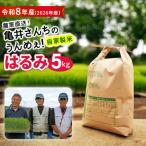 はるみ 5kg