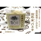 米粉 パスタ麺 自然栽培 羽咋米