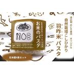 米粉 パスタ麺 玄米麺×4 こしひかり