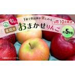 りんご旬のりんご品種おまかせ りんご
