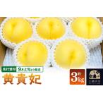 ふるさと納税 【先行受付】9月上旬より発送 黄貴妃 約3kg モモ もも 黄色桃 秋田県横手市