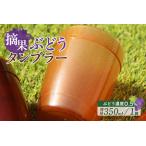 食器 グラス タンブラー 摘果ぶどうのタンブラー