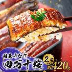 極上 うなぎ四万十桜 白焼き約140g×3尾