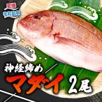 真鯛 2尾