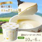 ヨーグルト 蒜山 ひるぜんジャージーヨーグルト10個入×6回…