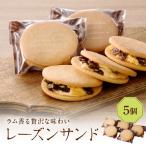 レーズンサンド5個セット