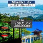 後から 旅行Webカタログで使える 旅行クーポン 300,000円分