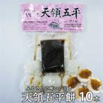 天領 五平餅 10本セット 味噌だれつき