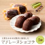 マドレーヌショコラ 5個セット