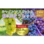 633 旬のぶどう詰め合わせ2.0kg