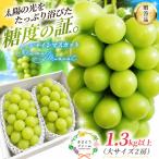 シャインマスカット 特大シャインマスカット2房入 計1.3kg~