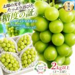 シャインマスカット こだわりシャインマスカット3-5房 計2k…