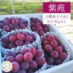 ぶどう 特選ぶどう紫苑3-5房2.4kg~
