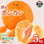 訳あり ポンカン みかん 5kg